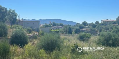 Real Estates picture 3 Ref. 83761