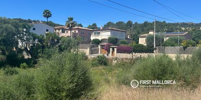 Real Estates picture 9 Ref. 83761