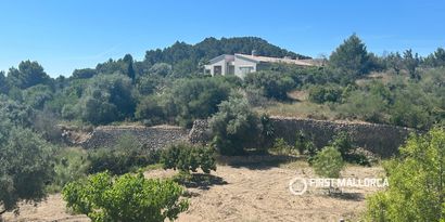 Real Estates picture 10 Ref. 83761