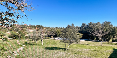 Inmobiliaria picture 26 Ref. Nº. R29874