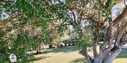 Inmobiliaria picture 27 Ref. Nº. R29874