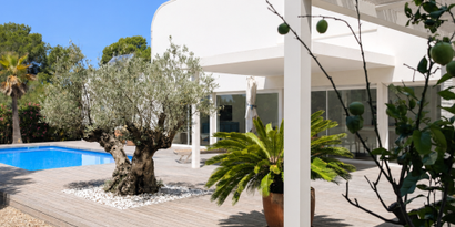 Immobilien picture 24 Ref. Nr. 83835