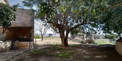 Immobilien picture 17 Ref. Nr. 83840