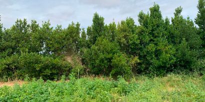 Immobilien picture 28 Ref. Nr. 83840