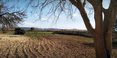Immobilien picture 27 Ref. Nr. 83840