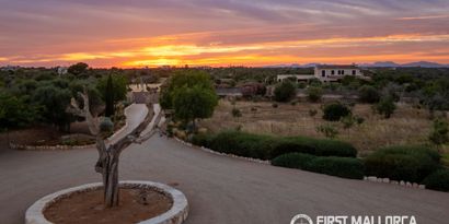 Inmobiliaria picture 29 Ref. Nº. 75612