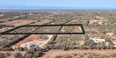 Inmobiliaria picture 3 Ref. Nº. 83830