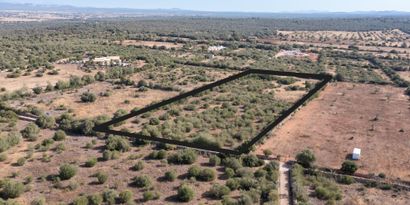 Immobilien picture 1 Ref. Nr. 83002