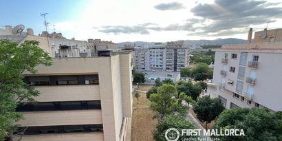 Inmobiliaria picture 10 Ref. Nº. 83906