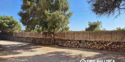 Immobilien picture 23 Ref. Nr. R29920