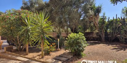 Immobilien picture 3 Ref. Nr. R29920