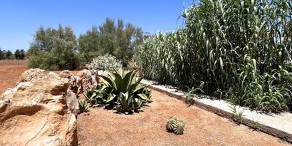 Immobilien picture 16 Ref. Nr. R29959