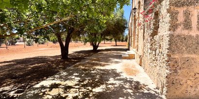 Immobilien picture 15 Ref. Nr. R29959