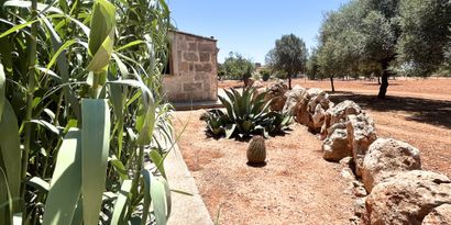 Immobilien picture 14 Ref. Nr. R29959