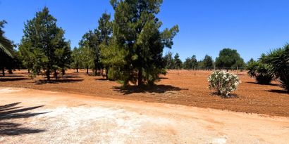 Immobilien picture 19 Ref. Nr. R29878