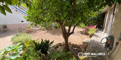 Inmobiliaria picture 1 Ref. Nº. 83922