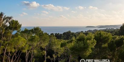 Inmobiliaria picture 12 Ref. Nº. 84100