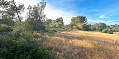 Inmobiliaria picture 6 Ref. Nº. 83673