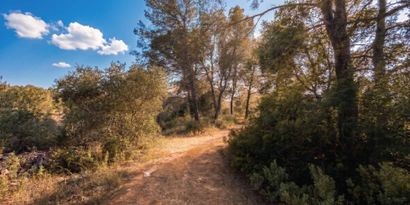 Inmobiliaria picture 0 Ref. Nº. 83673