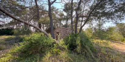 Inmobiliaria picture 5 Ref. Nº. 83673