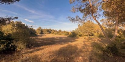 Inmobiliaria picture 3 Ref. Nº. 83673