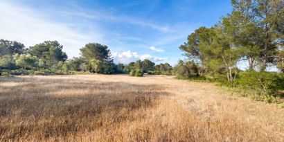 Inmobiliaria picture 4 Ref. Nº. 83673