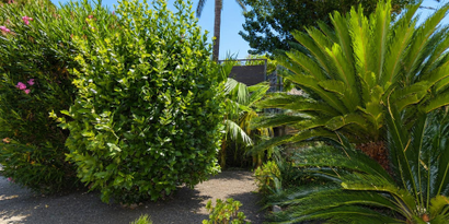 Real Estates picture 2 Ref. R29973