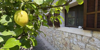 Inmobiliaria picture 28 Ref. Nº. 83701