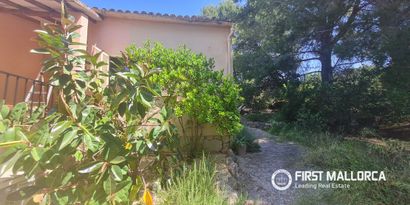 Real Estates picture 19 Ref. R29871