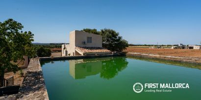 Inmobiliaria picture 39 Ref. Nº. 83985