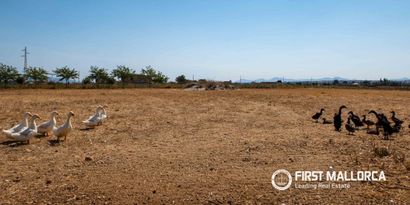 Inmobiliaria picture 42 Ref. Nº. 83985