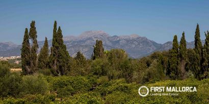 Inmobiliaria picture 43 Ref. Nº. 83985