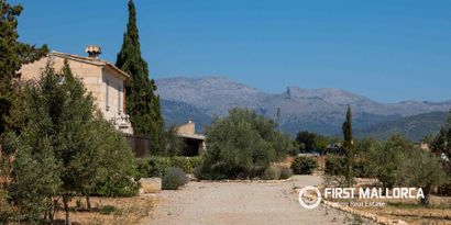 Inmobiliaria picture 40 Ref. Nº. 83985