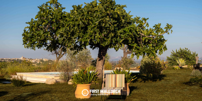 Immobilien picture 4 Ref. Nr. 84019