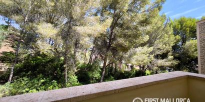 Real Estates picture 26 Ref. R11440