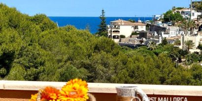 Real Estates picture 17 Ref. R29996