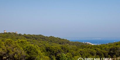 Immobilien picture 0 Ref. Nr. 83901