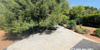 Real Estates picture 12 Ref. R29186