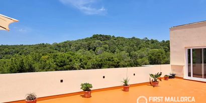 Immobilien picture 10 Ref. Nr. 83780