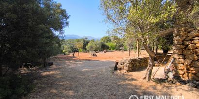 Inmobiliaria picture 26 Ref. Nº. R30059