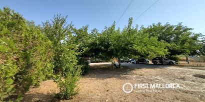Inmobiliaria picture 18 Ref. Nº. 84145