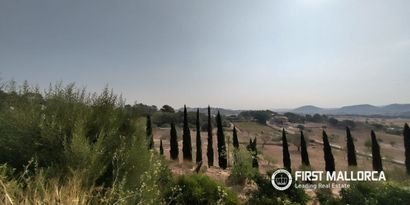 Inmobiliaria picture 19 Ref. Nº. 84145