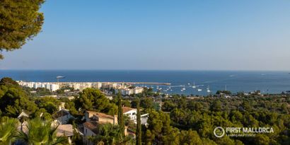 Inmobiliaria picture 19 Ref. Nº. 65520