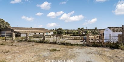 Inmobiliaria picture 0 Ref. Nº. 84168