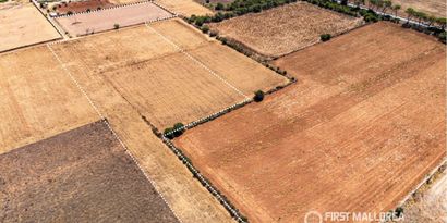 Inmobiliaria picture 5 Ref. Nº. 84167