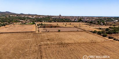 Inmobiliaria picture 6 Ref. Nº. 84167
