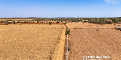 Inmobiliaria picture 8 Ref. Nº. 84167