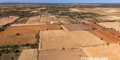 Inmobiliaria picture 10 Ref. Nº. 84167
