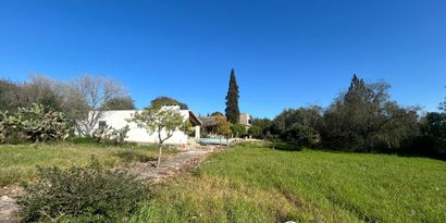 Inmobiliaria picture 27 Ref. Nº. 83568