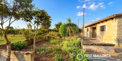Inmobiliaria picture 4 Ref. Nº. R22544